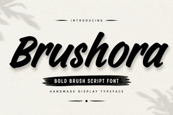 Brushora Font Design Trends and Creative Uses